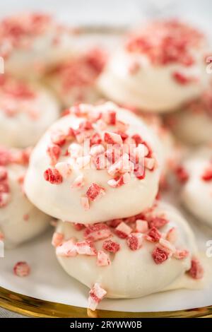 Peppermint White Chocolate Cookies Stock Photo