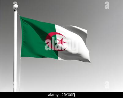 Algeria national flag isolated waving on gray background Stock Photo