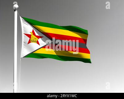 Zimbabwe national flag isolated waving on gray background Stock Photo