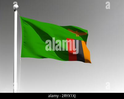 Zambia national flag isolated waving on gray background Stock Photo