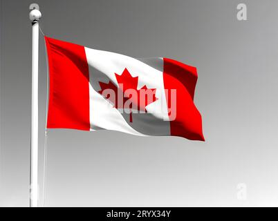 Canada national flag isolated waving on gray background Stock Photo