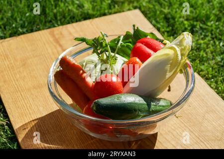 fresh vegetables on the table in the garden Stock Photo