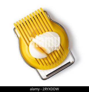 Boiled egg in the egg slicer. Stock Photo