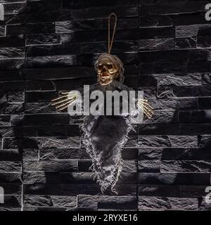 Step into the Halloween spirit with our spooky skeleton decoration featuring a creepy hanging cobweb, lifelike stone wall design, and atmospheric colo Stock Photo