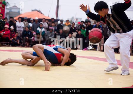 A wrestling match at the Buffalo Painting Festival near Phu Ly, Vietnam. Stock Photo