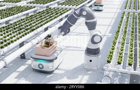 AGV robot courier cars transporting hydroponics vegetable crates to stock in warehouse for delivery to customers in greenhouse d Stock Photo