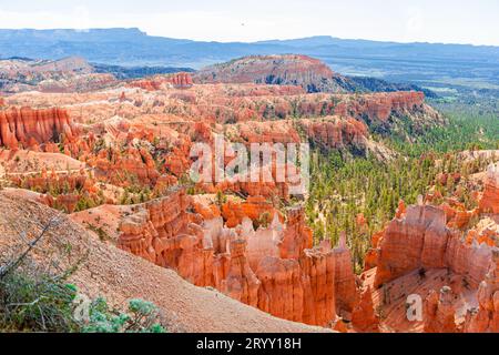 Great spires carved away by erosion in famous Bryce Canyon National Park in Utah, USA. Stock Photo