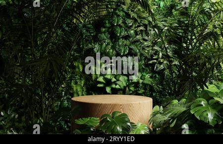 Wooden product display podium in jungle forest and sunshine shadow background. Product presentation theme. Nature and Organic co Stock Photo