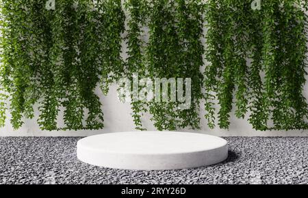 Round cylinder product stone podium in backyard garden with vine Virginia creeper on white concrete wall background. Exterior na Stock Photo