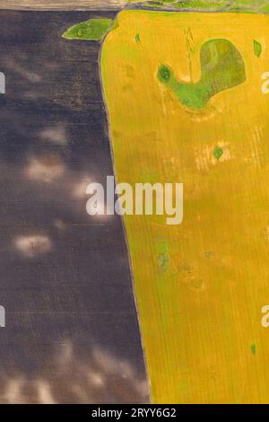 Aerial top view drone photography of a land with sown green fields in countryside Stock Photo