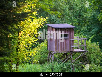 Hunters wooden hide deep in the forest Stock Photo