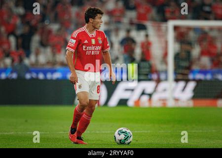 Angel Di Maria during Liga Portugal Betclic 23/24 game between SL Benfica  and FC Porto at Estadio Da Luz, Lisbon. (Maciej Rogowski Stock Photo - Alamy