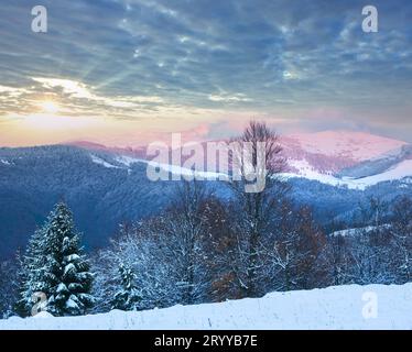 Winter sunset mountain landscape with snowy forest (Carpathian, Ukraine) Stock Photo
