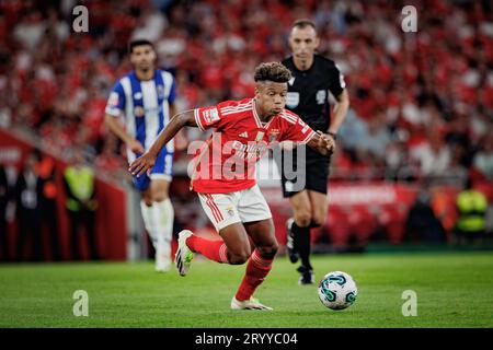 Ze Pedro during Liga Portugal Betclic 23/24 game between SL Benfica and FC  Porto at Estadio Da Luz, Lisbon. (Maciej Rogowski Stock Photo - Alamy