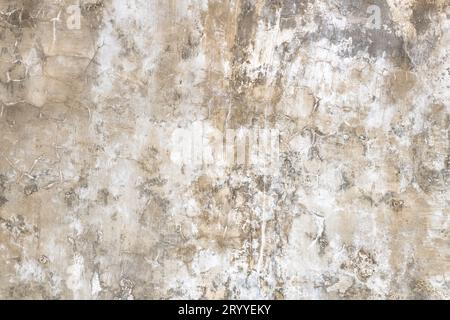 Grunge wall texture. High resolution vintage background. Stock Photo