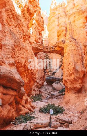 Bryce Canyon National Park landscape in Utah, United States. Brice Canyon in Navaho Loop Trail Stock Photo