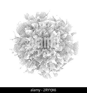 Black dotted rose flower form. Textured plant peony element for leaflet, banner, poster, booklet, brochure. Stippled dot work botanical illustration with grain effect. Vector sand noise petals shape Stock Vector
