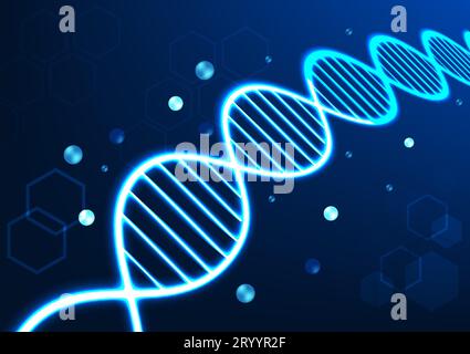 DNA molecular structure technology background shows the connection of the DNA structure for information used in medicine Suitable for poster work and Stock Vector