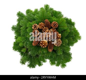 Christmas decoration, golden cones on Xmas tree branch wreath isolated on white transparent Stock Photo