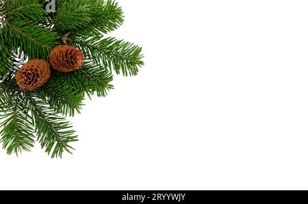 Christmas tree branch and cones isolated on white transparent, Xmas spruce, green fir pine twig Stock Photo