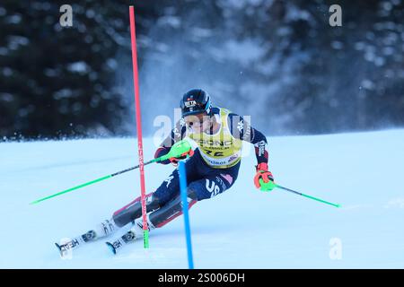 Benjamin Ritchie of United States Team competes during the Audi FIS