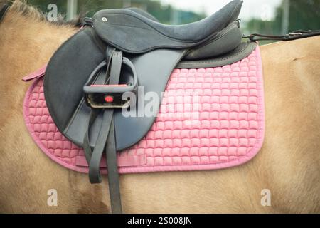 A saddle on a horse. The stirrup and the saddle. Riding. Stock Photo