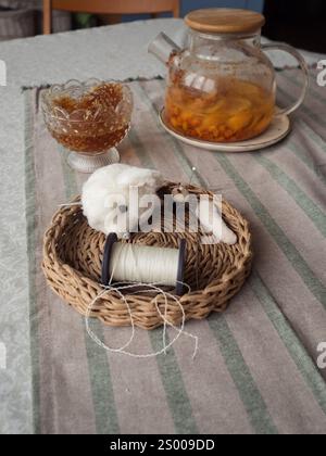 Crafting Equipment, Teapot of Citrus Drink, and Honey in Glass Dish Stock Photo
