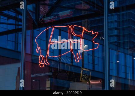 Cuts of Pork, a Pig Diagram in neon outline drawing behind a butcher's