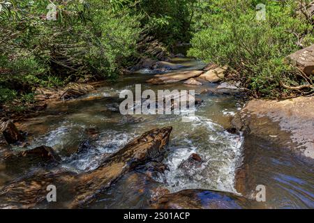 A stream of calm waters running through the rainforest between the rocks Minas Gerias, Brazil, South America Stock Photo