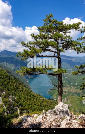 View of Lake Perucac and the canyon of the river Drina from the Banjska Stena viewpoint in Serbia. Stock Photo