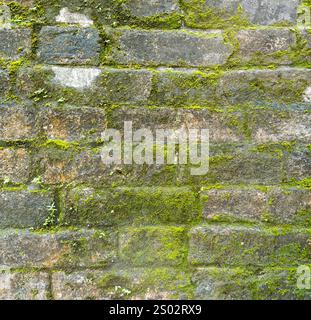 Background of old brick wall texture with moss Stock Photo
