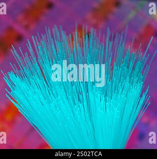 optical fibres dinamic flying from deep on technology background Stock Photo