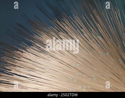 optical fibres dinamic flying from deep on technology background Stock Photo