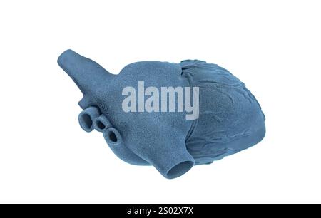 Model of human heart made by 3d printer,Concept new modern printing technology Stock Photo