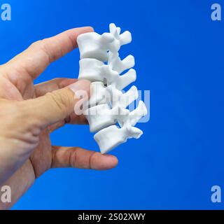 hand with 3d printed human spine in 3d printer. Stock Photo