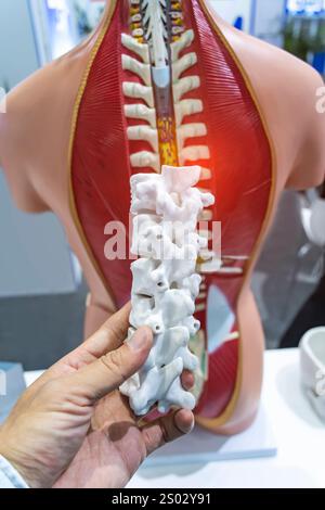 hand with 3d printed human spine in 3d printer on Spine Model Stock Photo