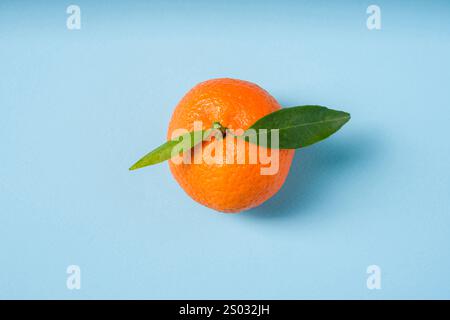 Top view of fresh organic tangerine on blue background Stock Photo