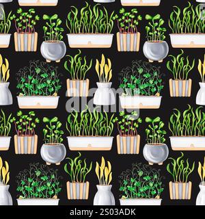 A seamless pattern of potted houseplants. Seedlings with microgreens for healthy nutrition. A vegetable garden on the windowsill. The growth of micro- Stock Photo