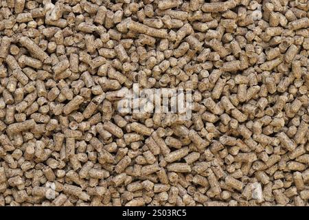Wood pellet cat litter as background, closeup. Pressed wood, large granules. Pellets. A pile of wood granules. Texture. Wood filler for cat toilet, to Stock Photo