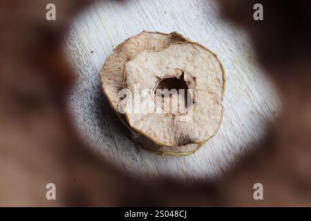 Close-up of apple chips stacked, with a clear view through the hole in one slice. Natural texture and colors. Stock Photo