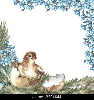 An Easter card. A hatched chicken on the grass surrounded by forget-me-nots. A hand-drawn watercolor illustration. For making greeting cards and invit Stock Photo