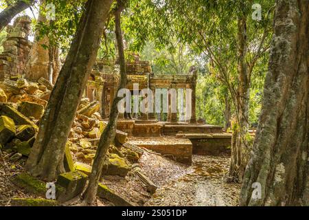 Ancient Ta Prohm temple hidden in cambodian jungles, Angkor Vat, Siem Reap, Cambodia Stock Photo