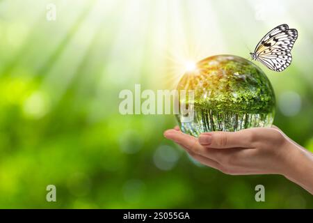 Save Earth. Woman holding ball lens with overturned reflection of green forest in sunlight, closeup. Butterfly on crystal globe Stock Photo
