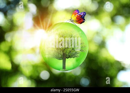 Save Earth. Butterfly on crystal globe with tree inside outdoors Stock Photo