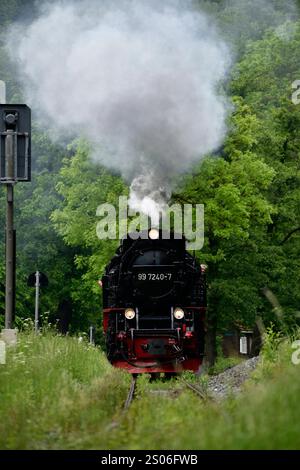 Harzer Schmalspurbahn Eine Dampflok der Harzer Schmalspurbahnen steht am 29. Mai 2024 im Bahnhof Alexisbad auf der Strecke der Selketalbahn. Harz Sachsen-Anhalt Deutschland  JK14454 *** Harzer Schmalspurbahn A steam locomotive of the Harzer Schmalspurbahnen stands at Alexisbad station on May 29, 2024 on the line of the Selketalbahn Harz Saxony Anhalt Germany JK14454 Stock Photo