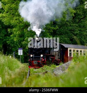 Harzer Schmalspurbahn Eine Dampflok der Harzer Schmalspurbahnen steht am 29. Mai 2024 im Bahnhof Alexisbad auf der Strecke der Selketalbahn. Harz Sachsen-Anhalt Deutschland  JK14437 *** Harzer Schmalspurbahn A steam locomotive of the Harzer Schmalspurbahnen stands at Alexisbad station on May 29, 2024 on the line of the Selketalbahn Harz Saxony Anhalt Germany JK14437 Stock Photo