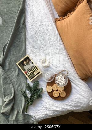 This serene winter photo captures a relaxing moment filled with warmth and simplicity. Velvet pillows in earthy tones rest on a neatly made white bed, Stock Photo