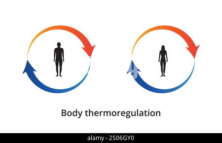 skin in thermoregulation. Body temperature regulation. Sweat reaches ...