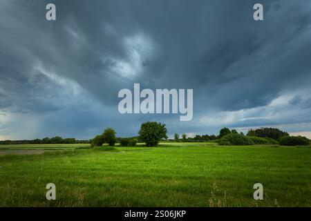 Cloudy sky over a green meadow with trees, spring view Stock Photo