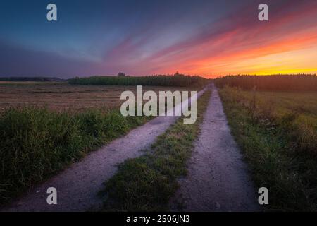 Colorful sunset over a rural landscape with fields and a dirt road, summer evening Stock Photo